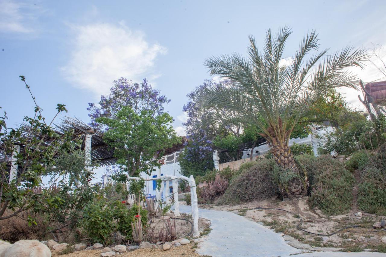 Casa Rural Aloe Vera Huercal Overa Bagian luar foto