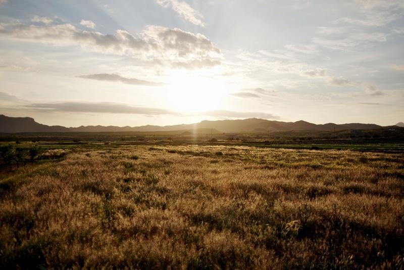 Casa Rural Aloe Vera Huercal Overa Bagian luar foto