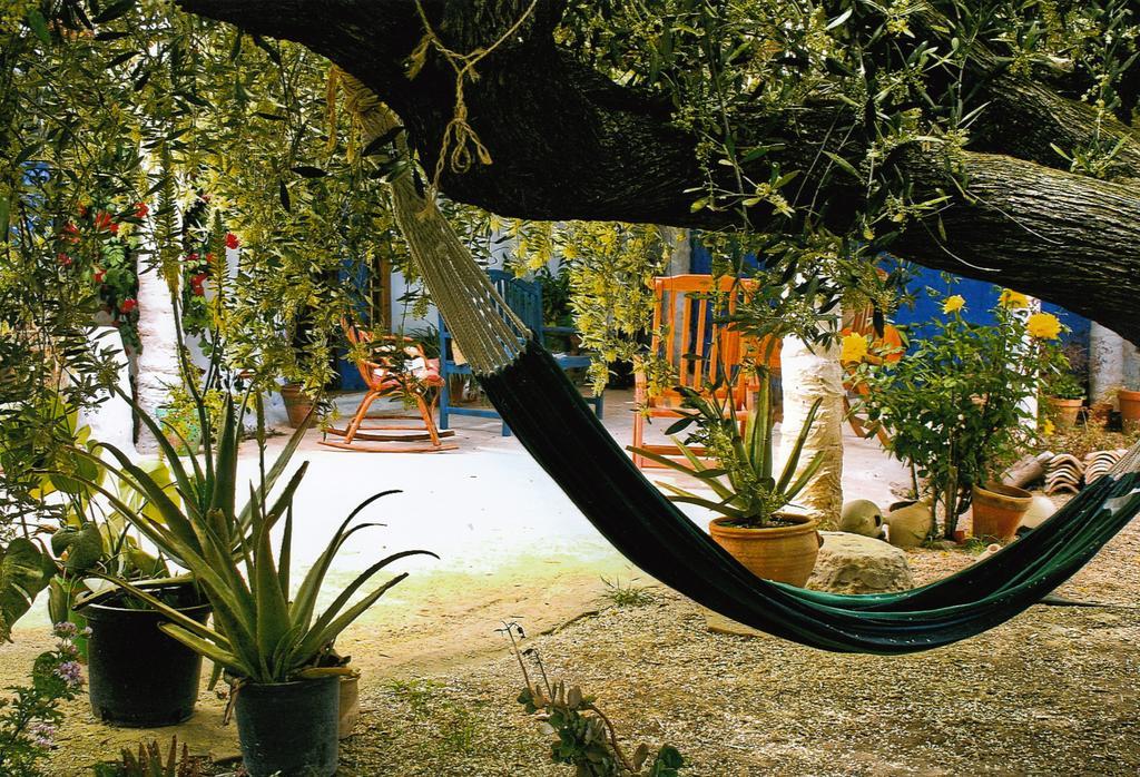 Casa Rural Aloe Vera Huercal Overa Bagian luar foto