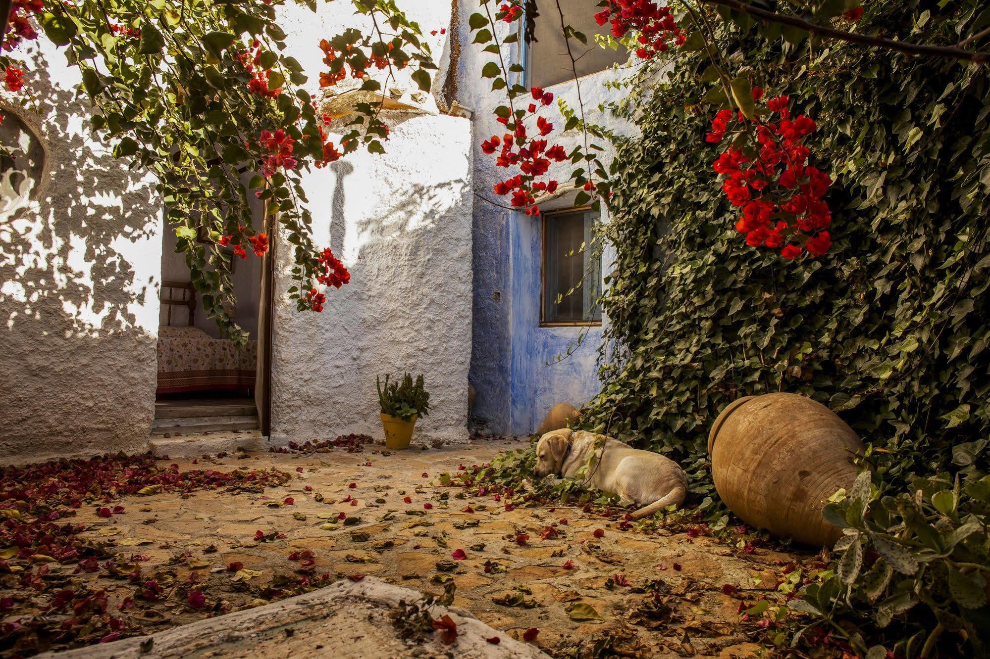 Casa Rural Aloe Vera Huercal Overa Bagian luar foto